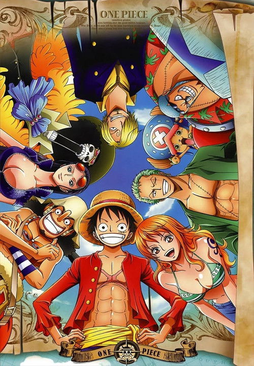Pòster de One Piece - Col·lecció