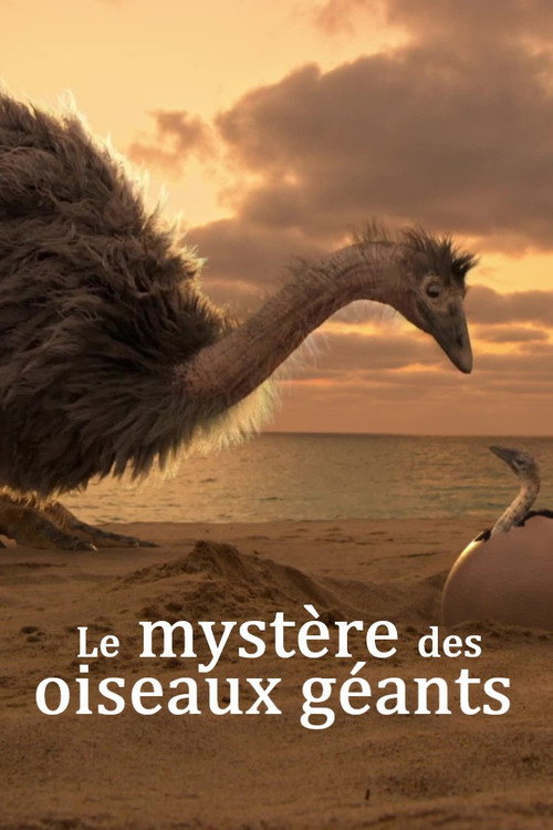 Affiche de Le mystère des oiseaux géants
