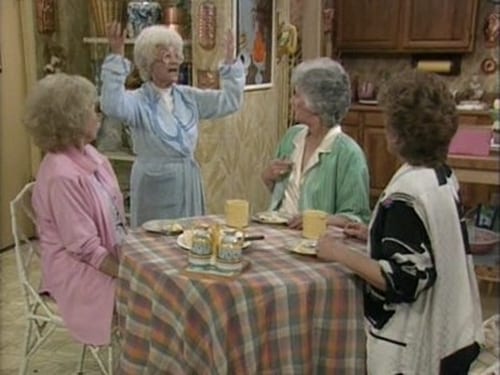 Poster della serie The Golden Girls