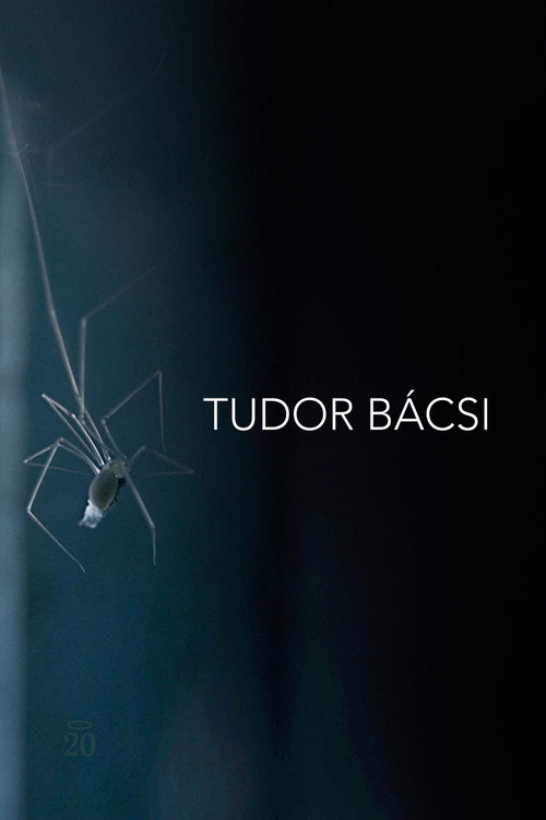 Tudor bácsi filmplakátja