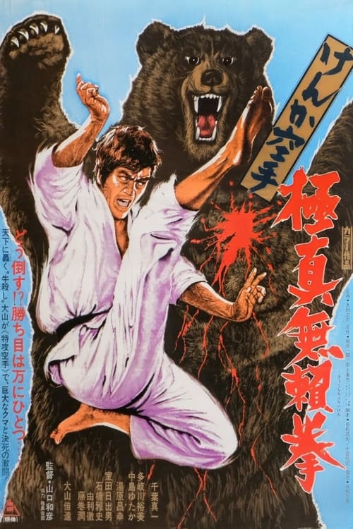 けんか空手 極真無頼拳 (1975) poster