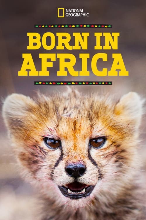 Poster Born in Africa