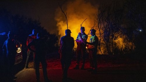 Image de l'épisode 215