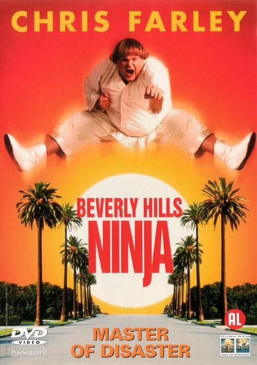 Beverly Hills Ninja (1997)