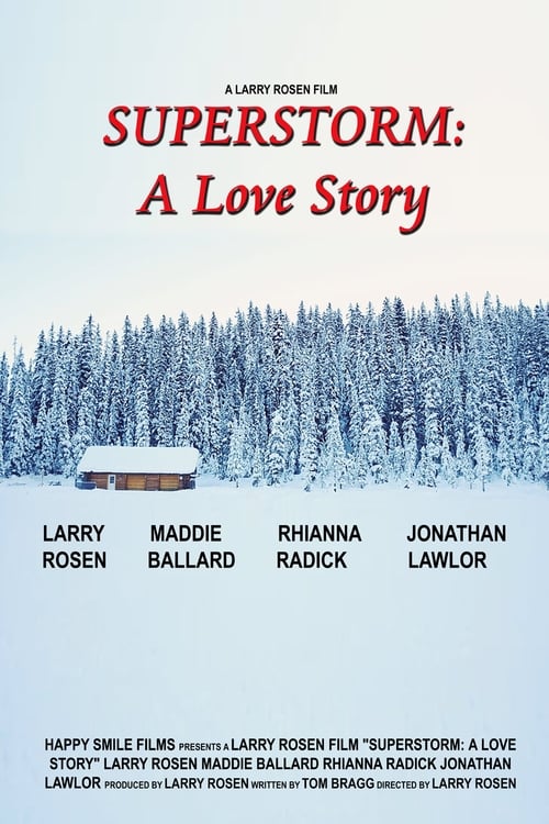 Superstorm A Love Story poster