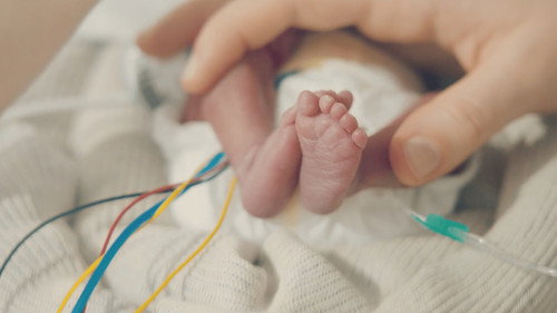 L’Hôpital des Premiers Jours