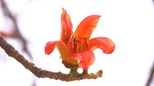 Image de l'épisode 18