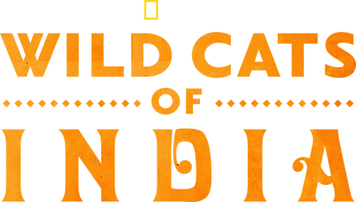 Wild Cats of India