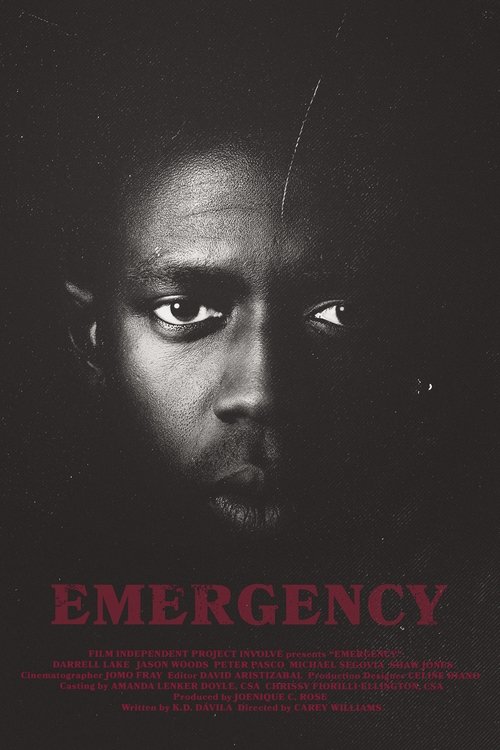 Poster 3