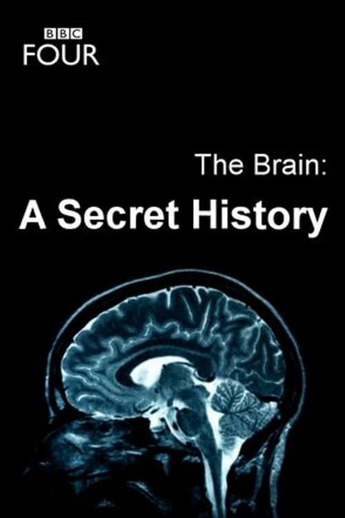 Poster The Brain: A Secret History