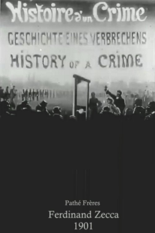 History of a Crime poster