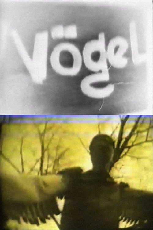 Vögel (1991) poster