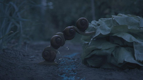 Night of the gastropods