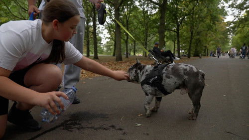 Image de l'épisode 13