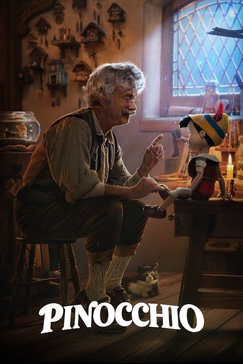 Posters
