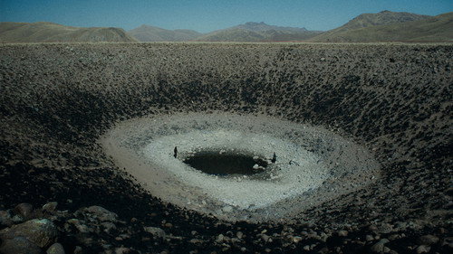 The Anatomy of the Horses