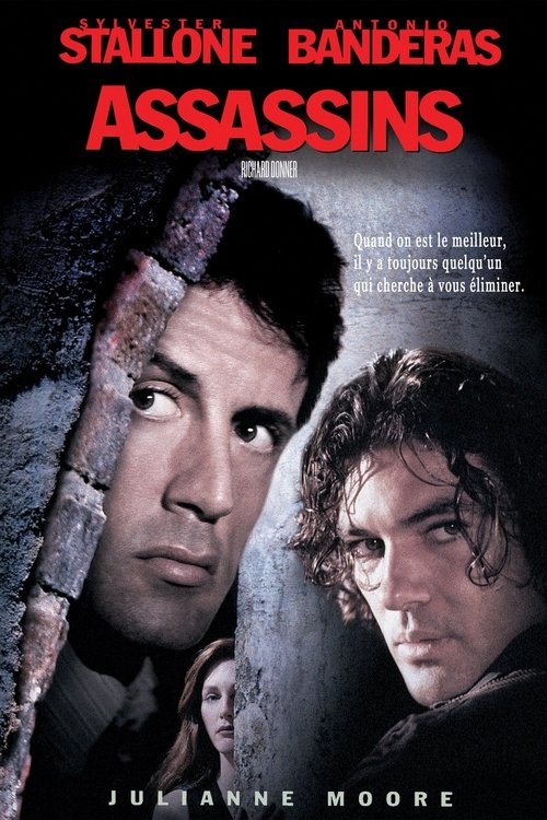 Assassins (1995)