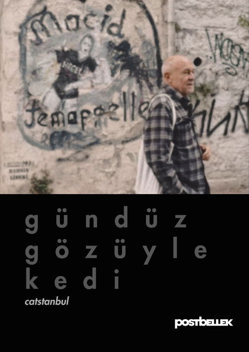 Gündüz Gözüyle Kedi film afişi
