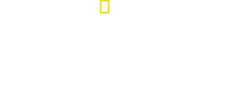 Expedición Everest