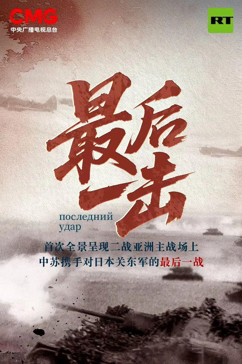 Couverture de 最后一击