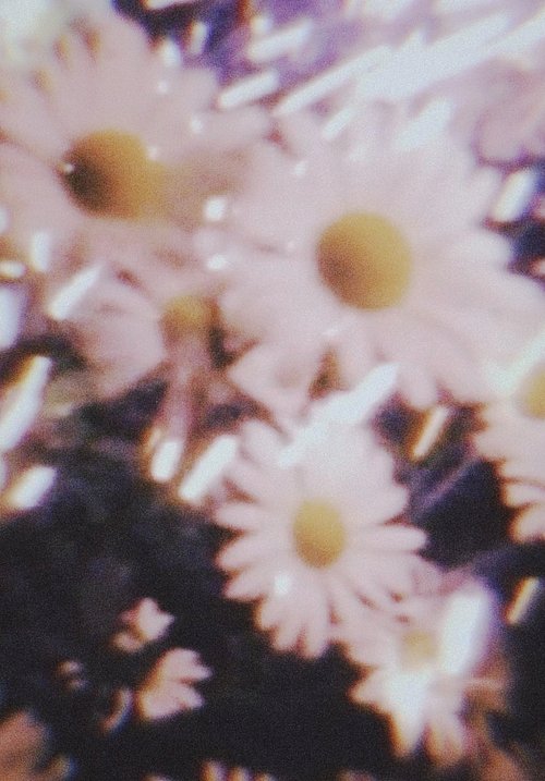 Amorphous diary