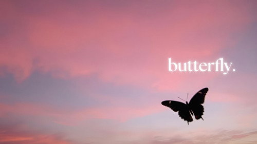 Butterfly Backdrop Blur
