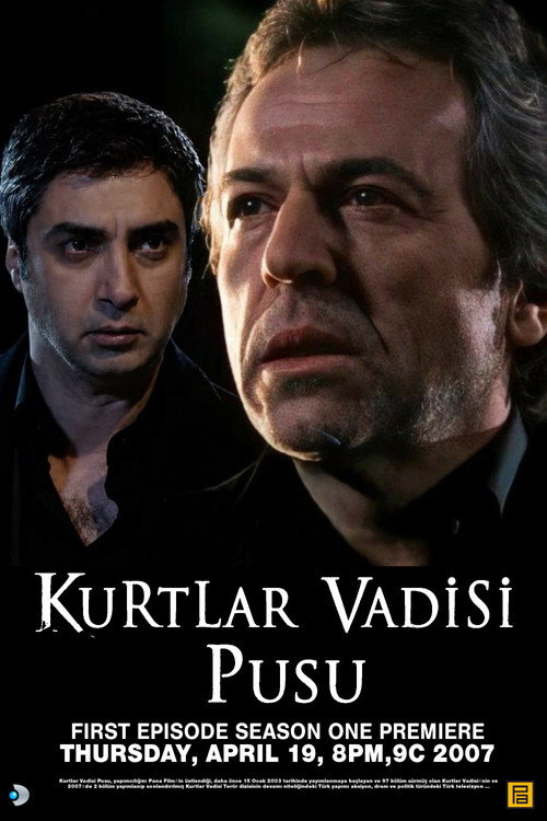 Affiche de Kurtlar Vadisi: Pusu