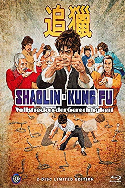 Shaolin Kung Fu Master poster