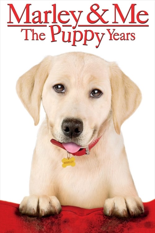 Marley & Me: The Puppy Years Movie Poster Image