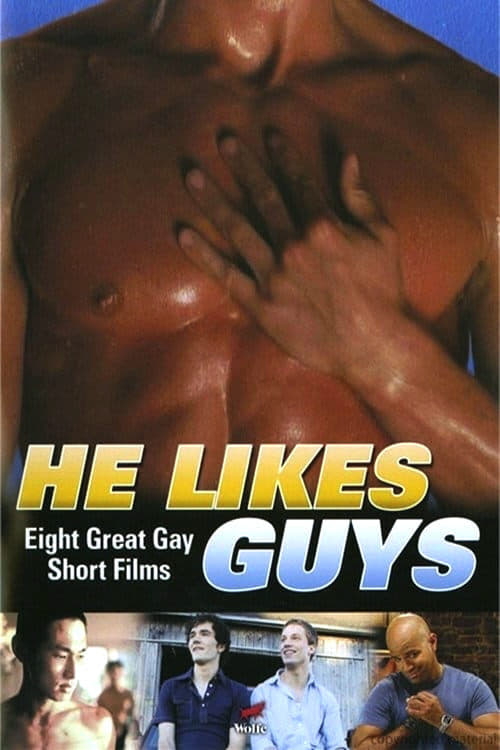 He Likes Guys (2009) poster