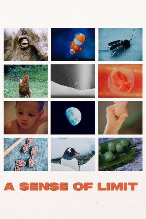 A Sense of Limit poster