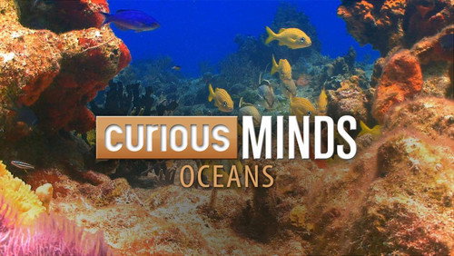 Curious Minds: Oceans - Season 1 Backdrop Blur