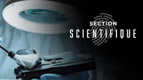 Section scientifique — Fundos 2