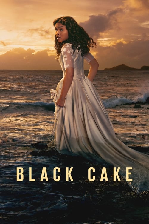 affiche du film Black Cake - Saison 1