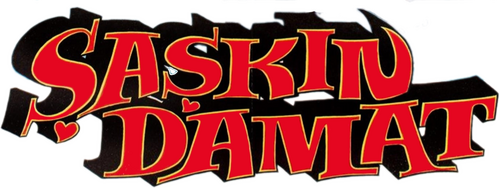 Şaşkın Damat