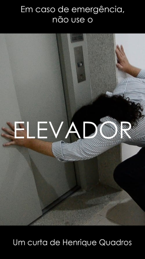 ELEVADOR 2019