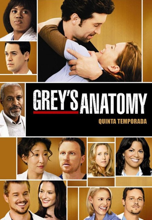 Grey’s Anatomy Temporada 5