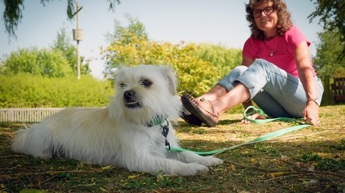 Image de l'épisode 4