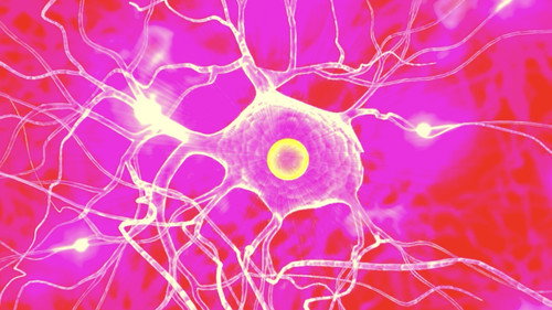 Slow Dancing on the Red Floor