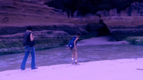 Wild Tigers I Have Known