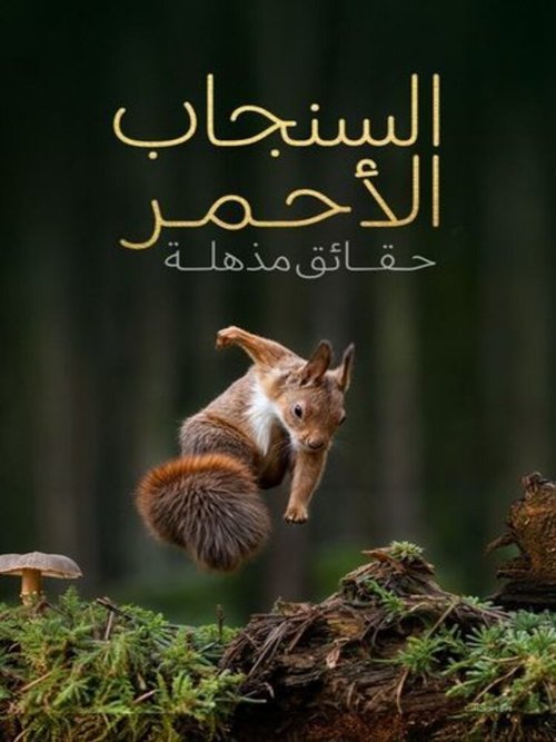 Red squirrel... amazing facts