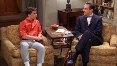Escena del episodio 28 de la temporada 7 de la serie The Andy Griffith Show