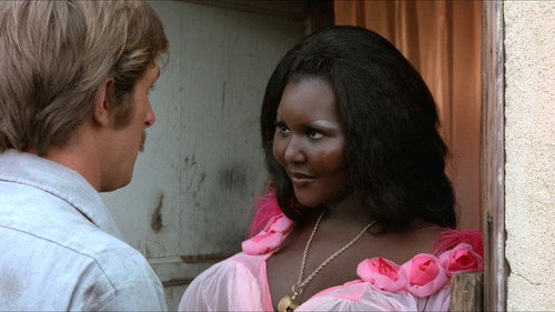 Beneath the Valley of the Ultra-Vixens