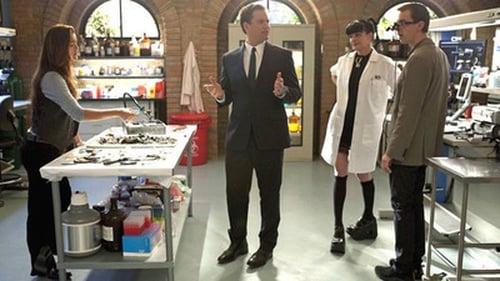 NCIS: Investigação Naval: 8×19