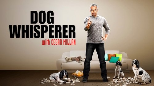 Dog Whisperer