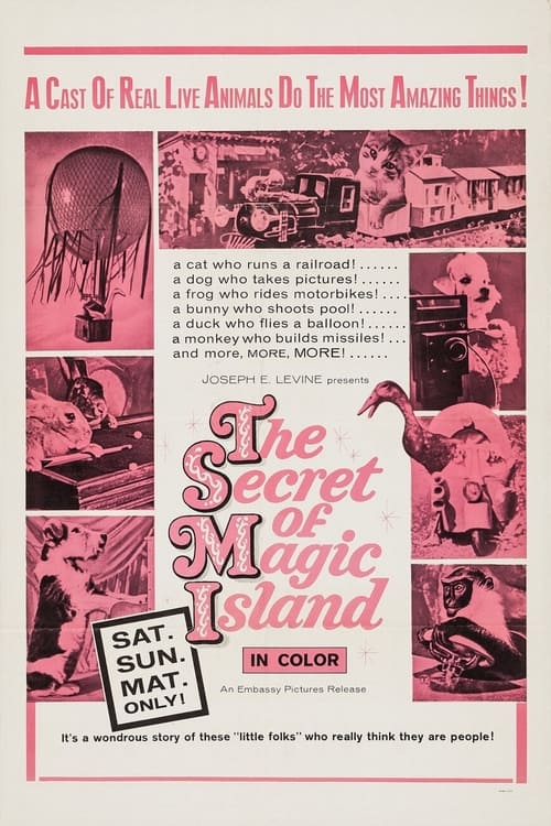 The Secret of Magic Island Movie Poster Image