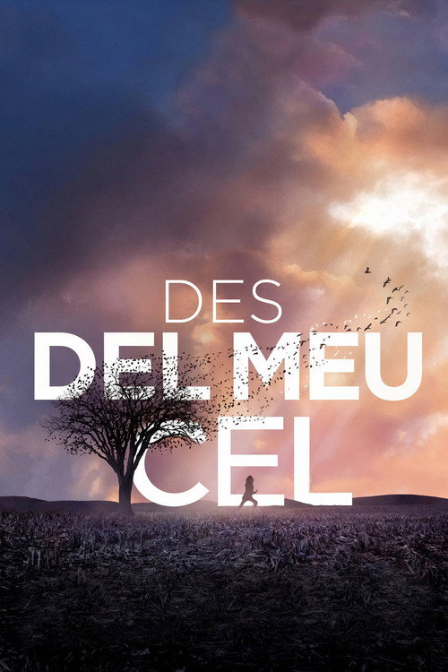 Cartell: Des del meu cel