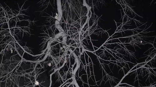 Lack of Organization