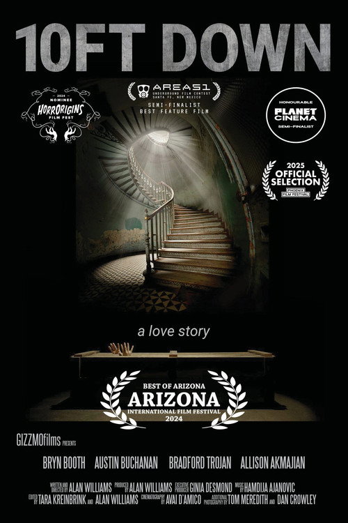 10 Ft Down poster