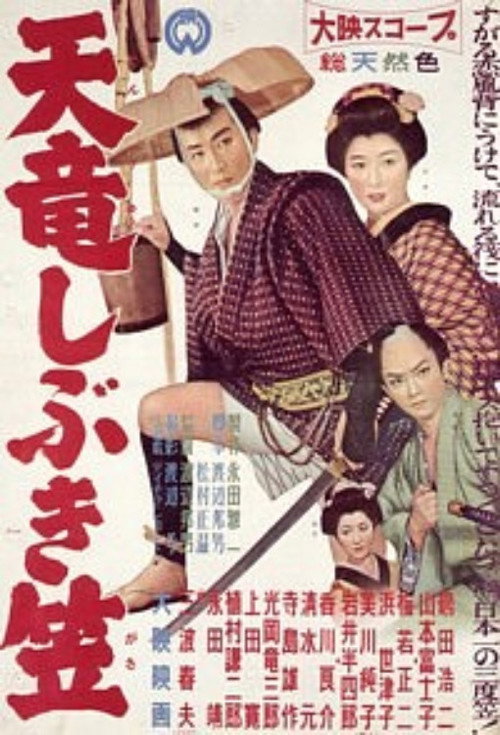天竜しぶき笠